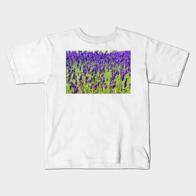 Lavender Kids T-Shirt by Colette22